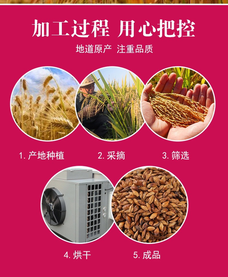 Roasted Barley Tea Da Mai Cha 500g Dried Roasted Barley Grains for Daily Herbal Brewing specifications