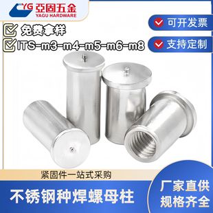 ���P䓷N����ĸ�� ITS-M3M4M5M6���ݼy�����c������ֲ����������