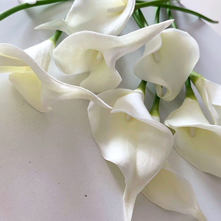 QQ图片20230306094030