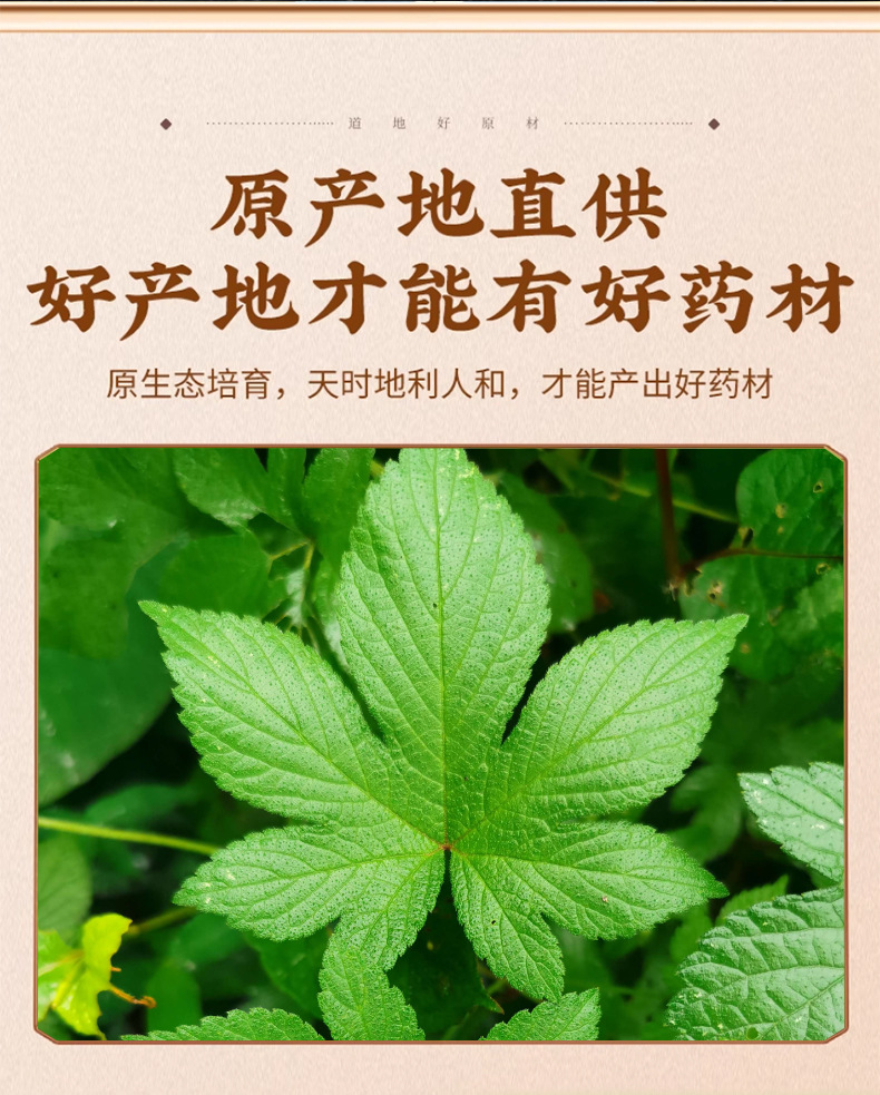 Dried Humulus japonicus 500g Lu Cao Japanese Hop Herb Whole Dried Herb for Decoction and Herbal Tea key features