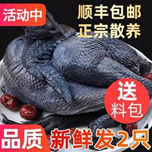 ɢ�B�����u���r�F�����u���P���u���u���r�����ĸ�u��ֻ�ǻ���