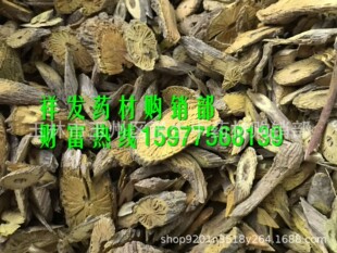��ș���S�� ���Sɏ ���S�� �S�B�� ɽ���� ɢ�b500��