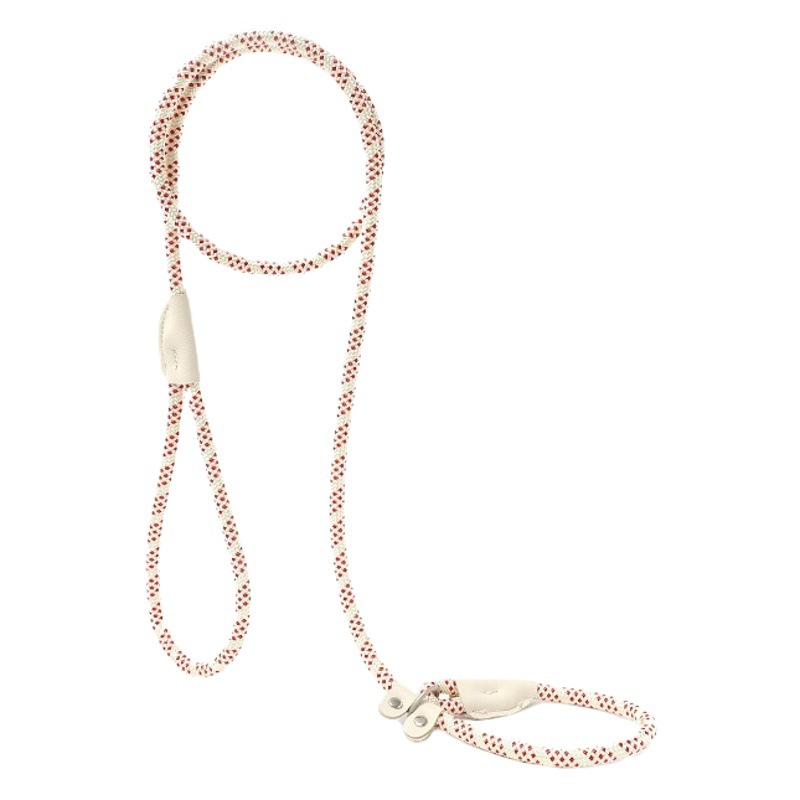 Cadena de perro transfronteriza integrada a prueba de explosiones ajustable artefacto para caminar a perros P cuerda de tracción de cadena P cuerda para mascotas perros medianos y grandes