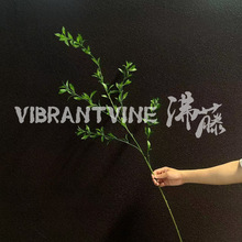 ���洺���~��c��Y�ò��ü��~�ӑ������ՔzӰ���߼ҾӲ��Ô[��