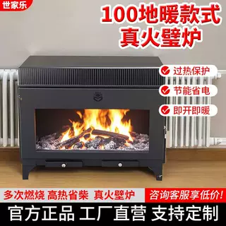 地暖款燃木壁炉客厅农村自建房室内用烧柴取暖神器高端款真火壁炉