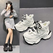 �W؛�ϵ�ЬŮ2025�＾�¿�ߎ�ϵ���ɸ����������e�\��ЬŮ���l