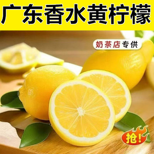 ���ڏV�|��ˮ�S�������rˮ��Ƥ���������䙎�ʶ�֭