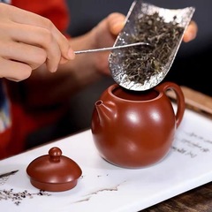 5ZV7批發吳成志經典紫砂系列大紅袍朱泥西施水平壺龍蛋德鍾壺鳳鳴