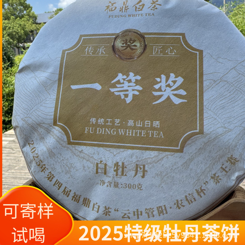 2025年福鼎 白茶牡丹茶饼正宗高山日晒花香明前头菜春茶厂家直发|undefined