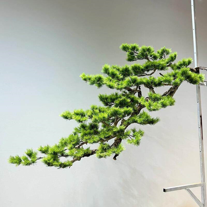 Artificial Pine Tree Black Pine Wall Hanging Hotel Indoor Hanging Pine Landscape Green Plant Tea Room Decoration Chinese-Style Ornament