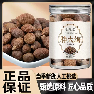 野生胖大海罗汉果茶200g瓶装泡水批发代发中药材