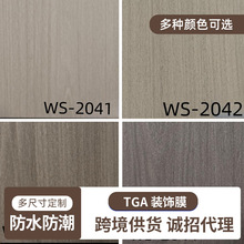 TGAľ�y�b��NĤ��ȼ��ˮ�h������WS20412043�Ҿ߷�������