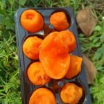 陕西富平冰柿 流心软糯爆甜冰柿 鲜食半流心冰淇冰柿包邮甜蜜