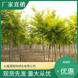 ���ع�����֦�� �� �S�� ���� ��֦����Ҏ���Rȫ �G������