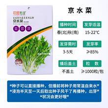 花园传说京水菜种子水晶菜种籽特菜阳台春夏播菜种子四季种周期短