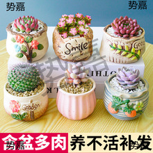 ���⻨��ֲ���҃�С�����������մɻ���߶��������҃ȾGֲ��ݗ��