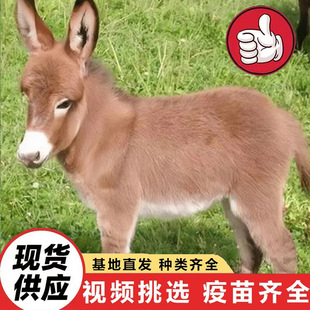 �Bֳ��ë�H���w���� ��ͯ�T�ˌ����H ���^�^�p���㰫�H�����H�r��