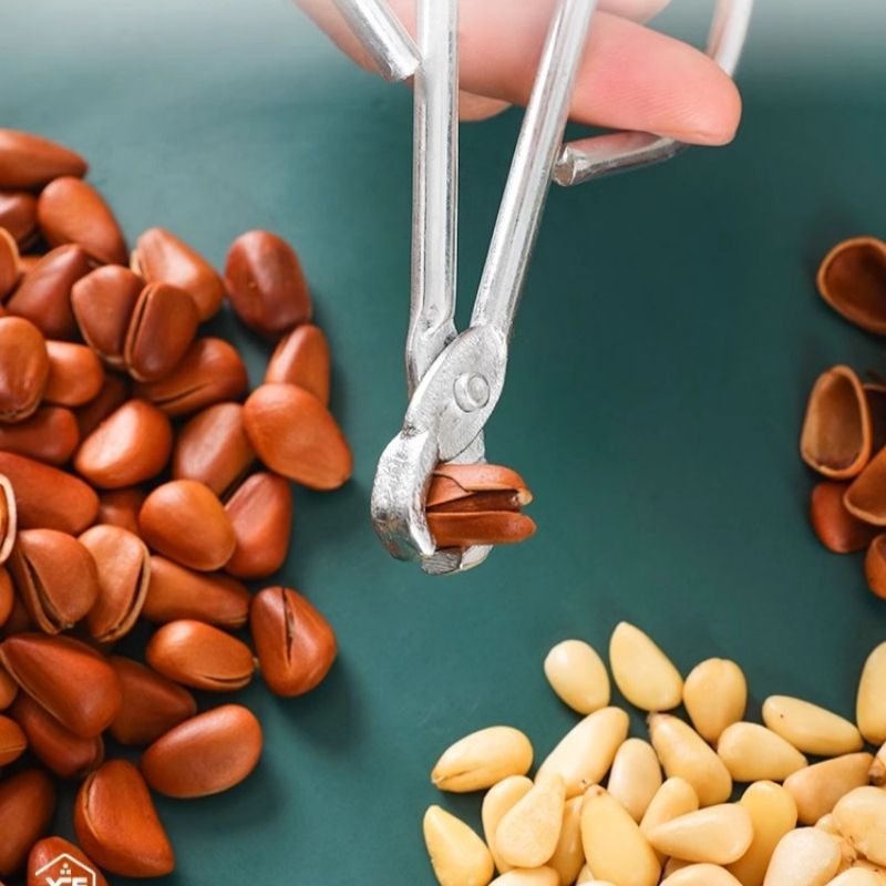 Pine nut shell opener