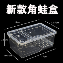 角蛙饲养盒牛蛙饲养箱角蛙蝾螈海蟾蜍两栖用带晒台乌龟爬到达贸易