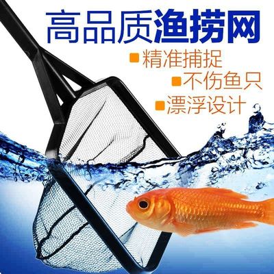 鱼缸渔捞水族箱清洁抄网捞鱼网兜方形伸缩鱼捞手抄鱼网观赏金鱼网|ru