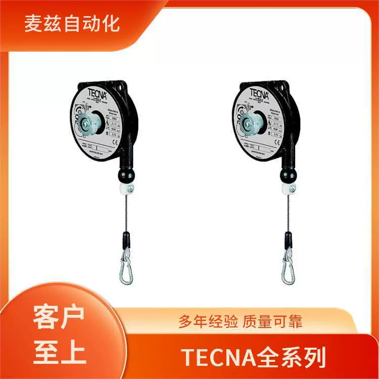 TECNA Italy Система регулирования скорости с переменной частотой 9301NY, полувысокоскоростной динамический балансир, совершенно новый