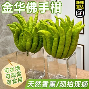 ���ָ�ˮ��ֲ���r���������^�p�҃�ˮ�B�Gֲ��޹��ʳ�Î�������