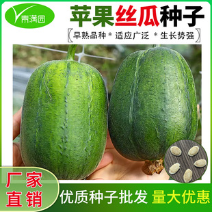 OzϷNӿԲ˹϶̰zѷNˈ@߲˹ϹN