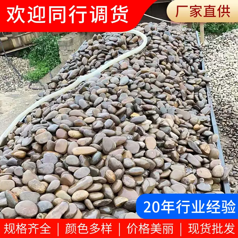 杂色鹅卵石 厂家批发工程铺路园林景观河滩石污水处理滤料石头