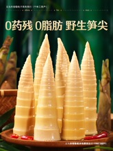 �^��؛�ք��S�_����ʳ�ݽ�������S�������ܹ֓S��S�ɽ��С��ʳ