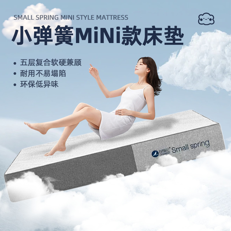 Spine-Protecting Mattress, Mini Spring Type, Hotel-Use Mattress, Soft and Hard Dual-Sleeping Spring Pressure-Relieving Roll-Pack Mattress, Customizable Spine-Protecting Mattress, Mini Spring Type, Hotel-Use Mattress, Soft and Hard Dual-Sleeping Spring Pressure-Relieving Roll-Pack Mattress, Customizable