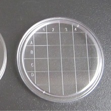 55mm接触碟 一次性接触碟 接触性平皿表面皿培养皿