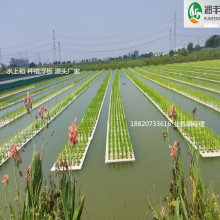 �S�Ҵ������l�����~��ˮ��Nֲ���塢���ܶȾ���ϩ����