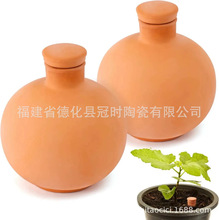 渗水壶出差自动灌溉浇水懒人浇花器家用滴水器红陶渗水器