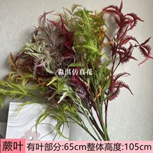 仿真绿植 草蕨叶仿真蕨草蕨类植物小波斯森系芒草排植物墙配蕨叶