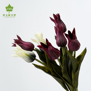 ������������^�ٺ�PU��ɫĪ�m�Ϗ͹ż��b��c�b��ߔ[�����