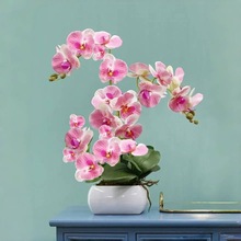 �����m���玧���������������m������͏d�҃�ֲ�ﻨ���ļ����B��