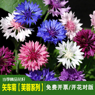 ʸ܇�շN�Ӿջ��ѿ��л�ͥԺ�̨�����׻���B���N�׻��ļ��_��