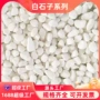 园林铺地庭院花园白石子