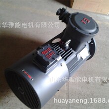 YVF2250M-8-30���IP68WEG���YVF����˸Ƿ���������5��Ƶ��׼