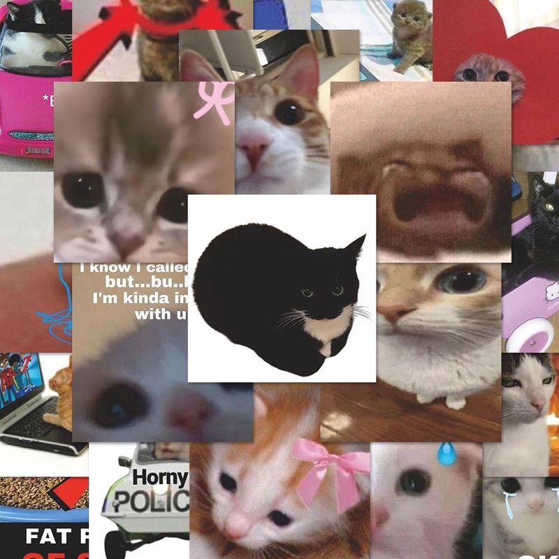 200 枚の柔らかくてかわいい、かわいい猫のインスタイルの見栄えの良いステッカー DIY 携帯電話ケース デスクトップ楽しい装飾|undefined