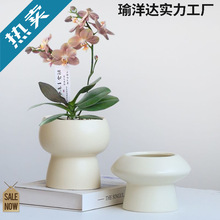 sմɻñWinsLpݺmmGֲ辰