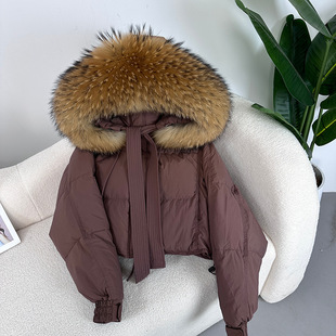 2023 New Autumn and Winter Down Jacket Short Hooded Korean Casual Fox Fur Neck Thickened High-end Down Jacket for Women