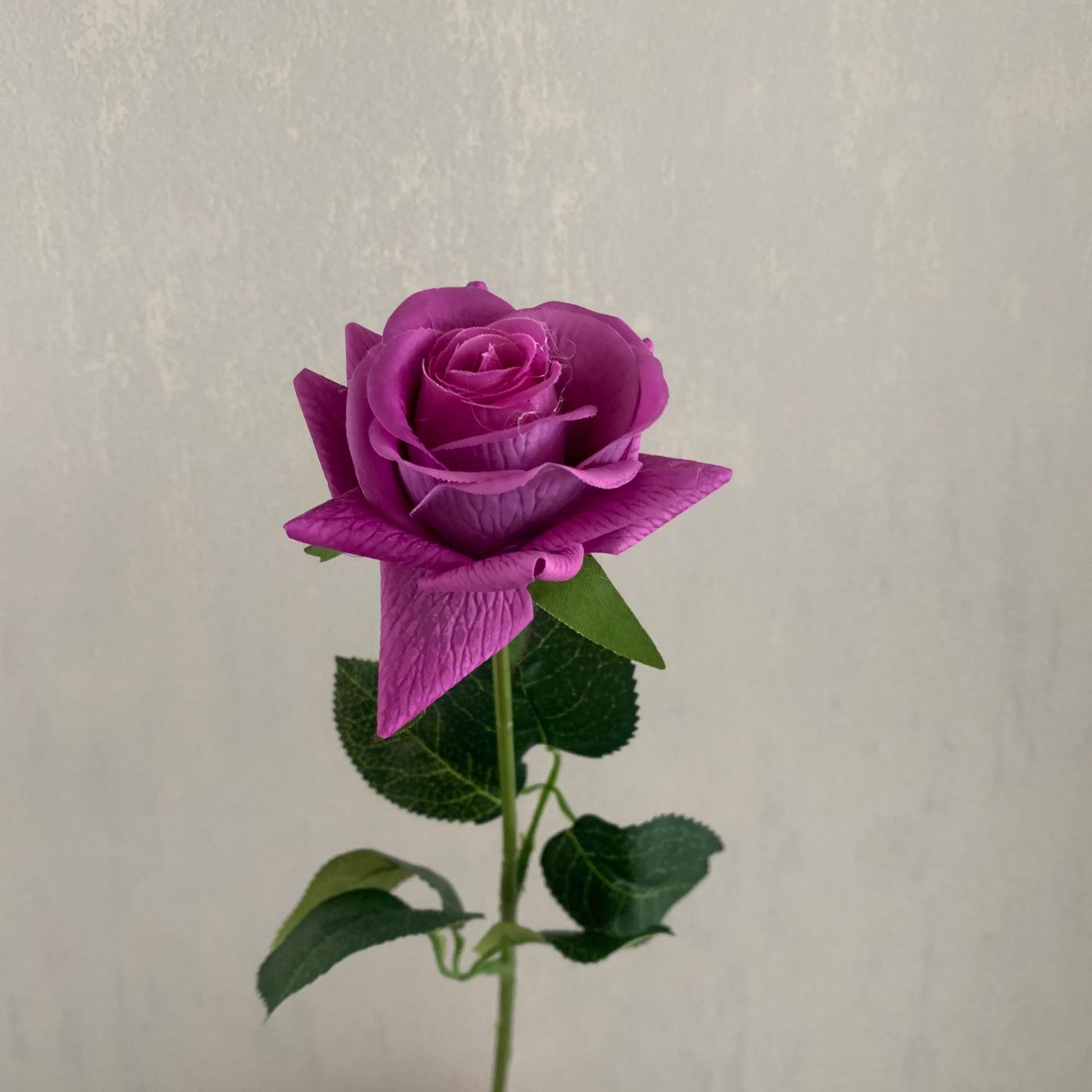 보라색