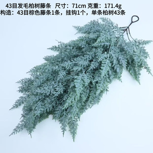 ����ؘ��ٗl�lëѩ���~�b�71cm�}�Q�Gֲ������羳�Ҿӱڒ��~��