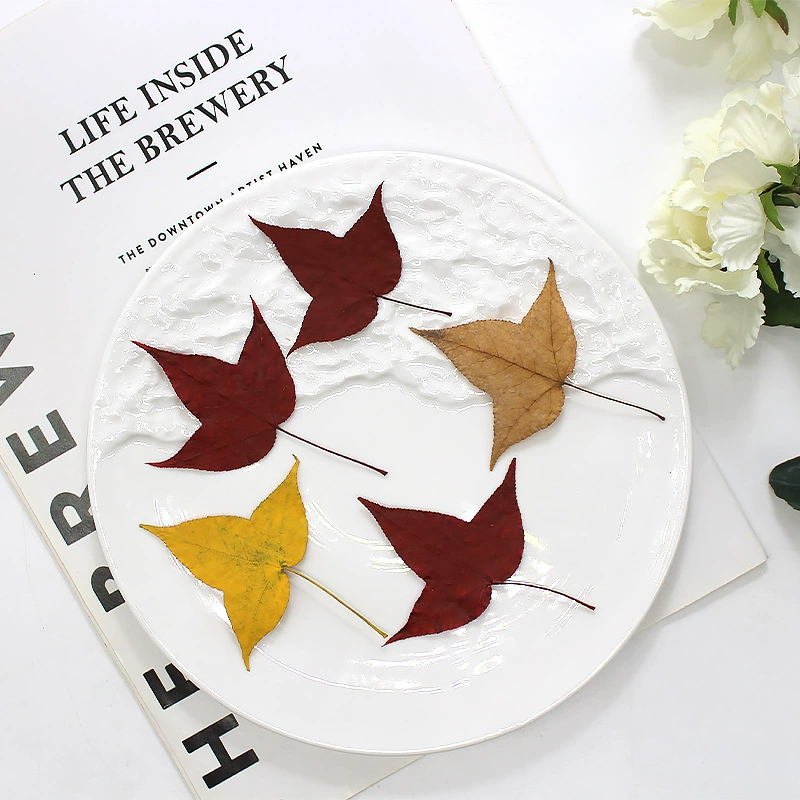 Треугольник кленового листа сушеного тиснения образец растения капающий клей чехол для мобильного телефона детская ручная закладка фоторамка с наклейкой