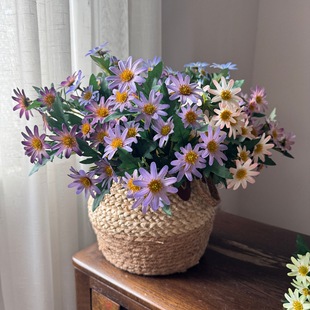 �羳���N7��СҰ�շ��滨Ʒ�|؛ԴԴ�^���S���lܛ�b�Ҿӻ�c����