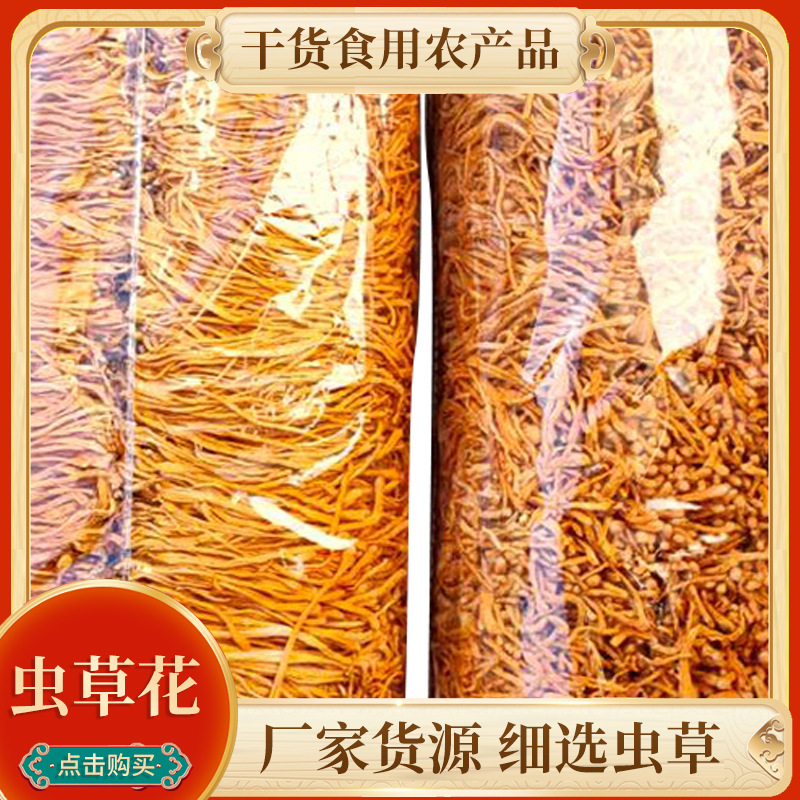 食用新鲜冬夏孢子头虫草营养粥食材 批发煲汤食材1公斤干货虫草花|ms