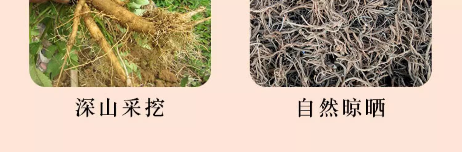 Chuan Duan Dried Sichuan Teasel Root Tea Cuts 40g Canister Hand Selected Herb specifications