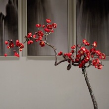 ��֦�L֦����÷��������֦�D÷��ˇ�͏d�廨�ٻ���ػ�c�b��N