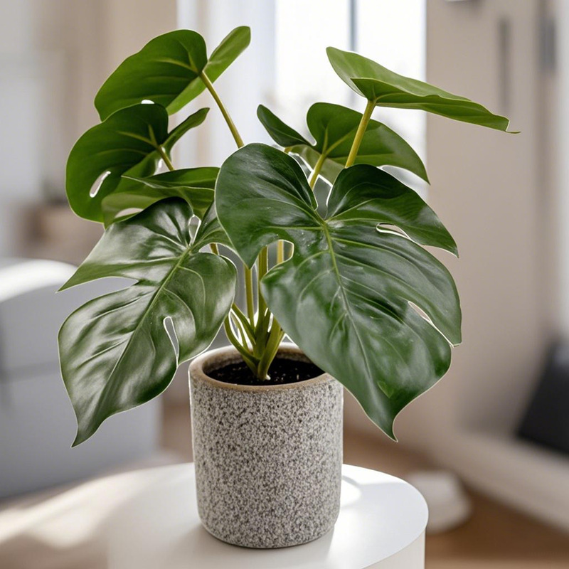 Simulación nórdica Planta verde Tortuga espalda hada Taro Escritorio Bonsai Sala de estar Hogar Decoración del suelo Decoración Decoración Paisaje de plantas falsas